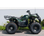 ATV 250 Off road nova moznost dopravy – fotka 2
